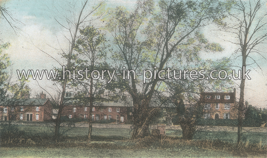 Mill Road, Witham, Essex. c.1908